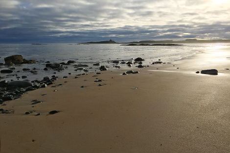 The beach looking towards Dunstanburgh Castle