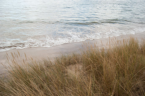 The dunes as the water nears high tide