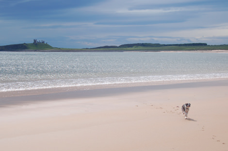 The clear water and pale sand of Beadnell Bay