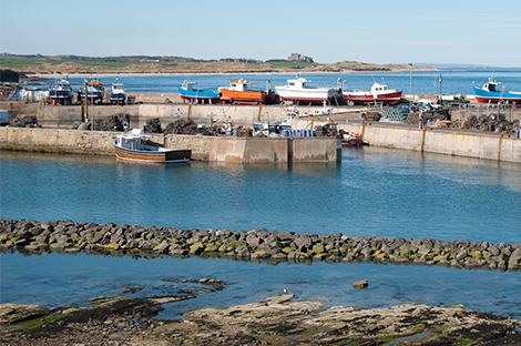 Seahouses harbour, Northumberland